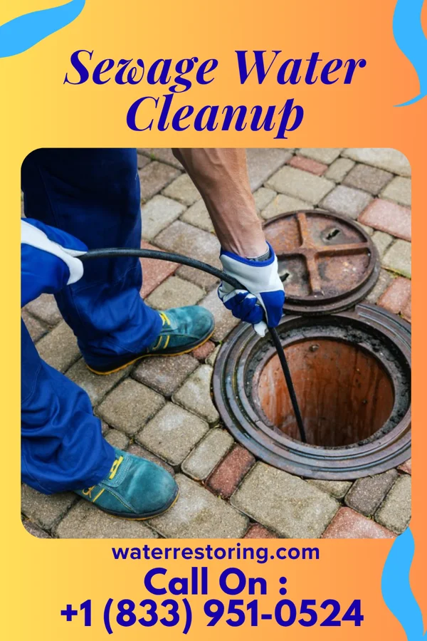 Sewage Water Cleanup in Rogersville, AL